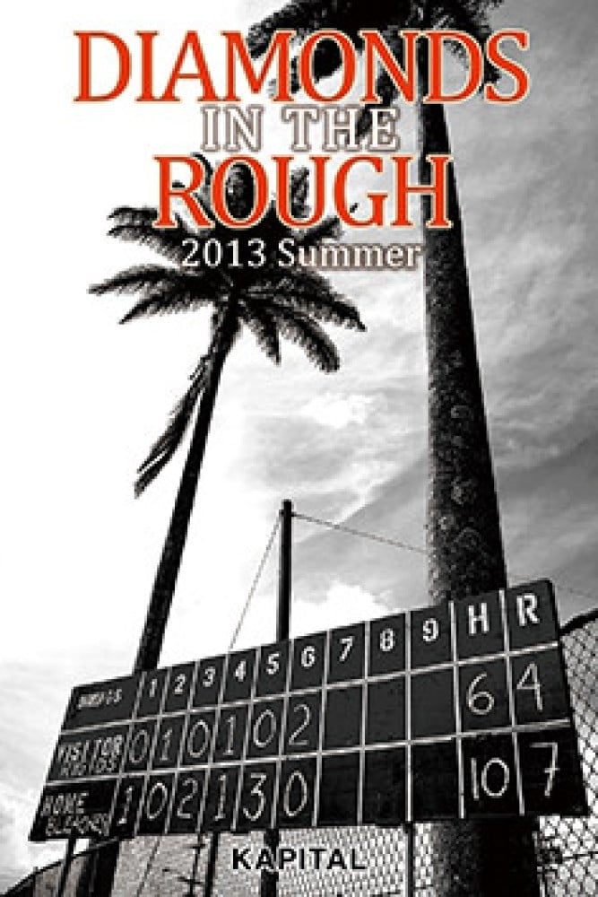 2013 Summer